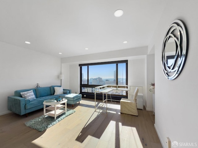 living room featuring wood-type flooring