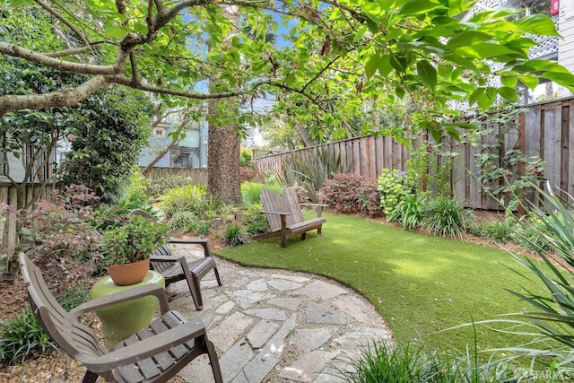 view of yard with a patio area and a fenced backyard