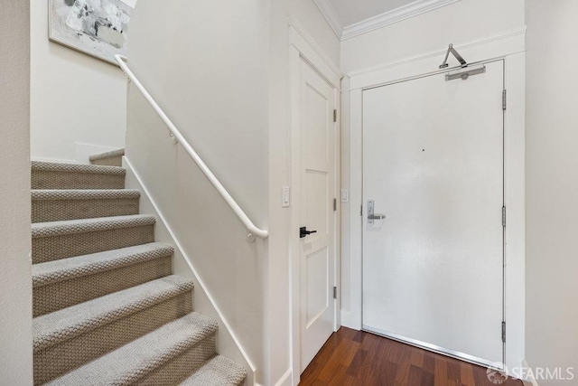 1354 Utah St, San Francisco, CA 94110 - photo 16