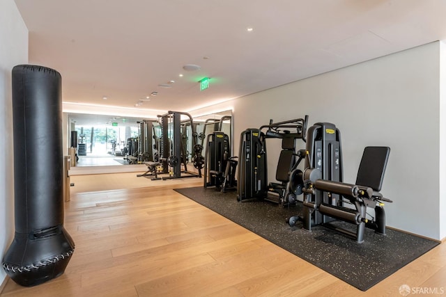 exercise room featuring hardwood / wood-style floors