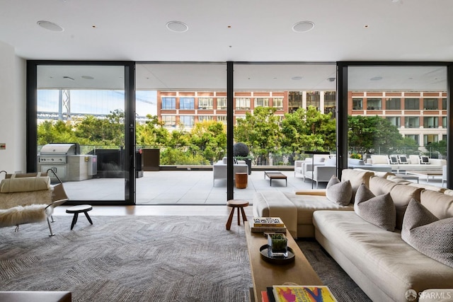 living room with a wealth of natural light