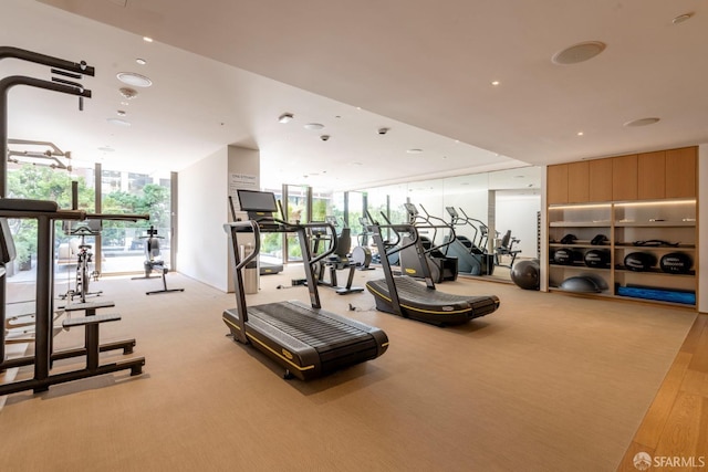 exercise room featuring light colored carpet, plenty of natural light, and floor to ceiling windows