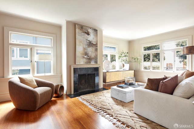 living room with wood finished floors and a fireplace