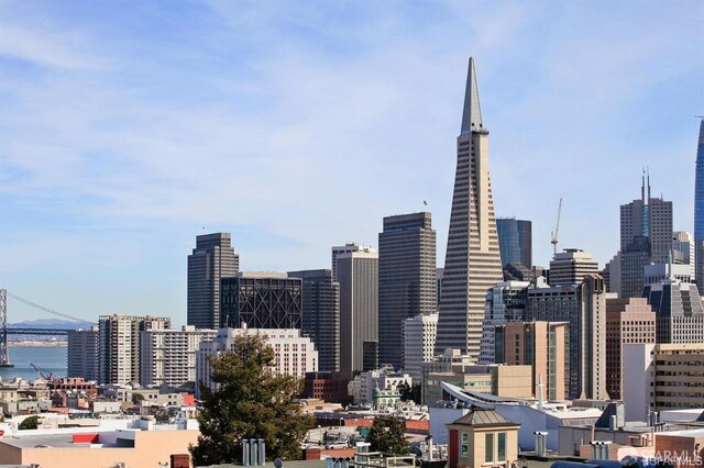 824 Green St, San Francisco, CA 94133 - view of city skyline