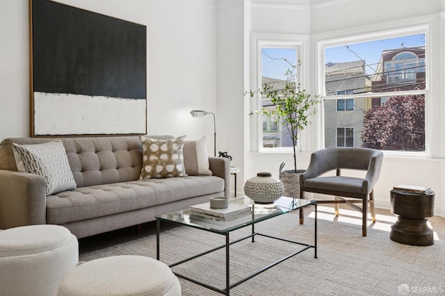 1063-1065 Sanchez St, San Francisco, CA 94114 - living area featuring baseboards and crown molding