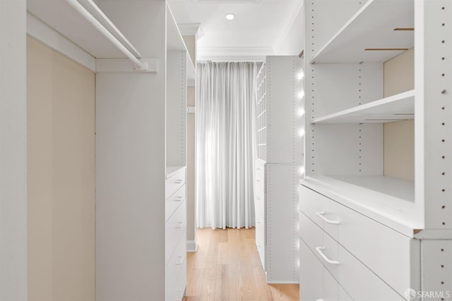 walk in closet featuring light wood-type flooring