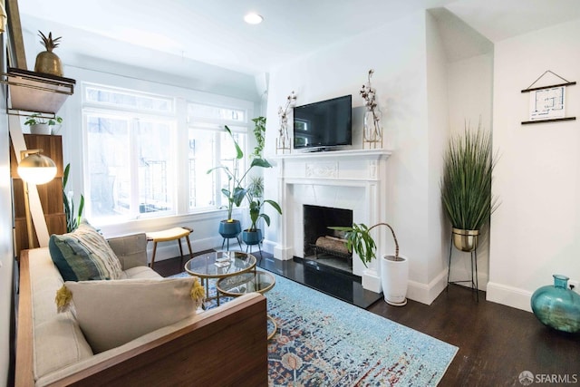 living room with dark wood-type flooring