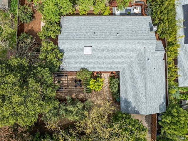 bird's eye view