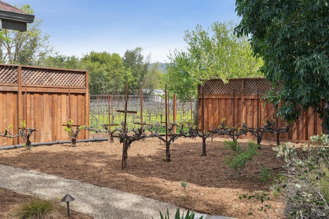 view of yard featuring a fenced backyard