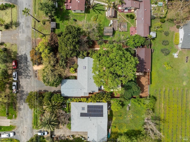 drone / aerial view