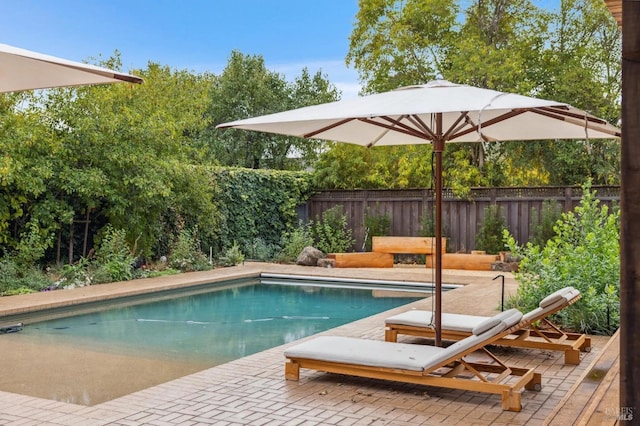 view of swimming pool with a fenced in pool and a fenced backyard