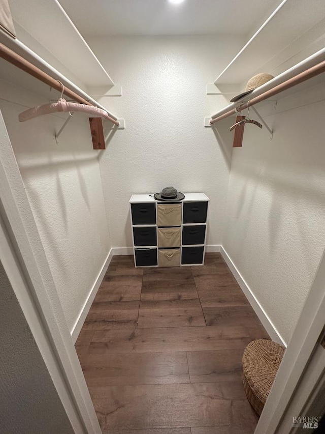 walk in closet featuring dark hardwood / wood-style floors