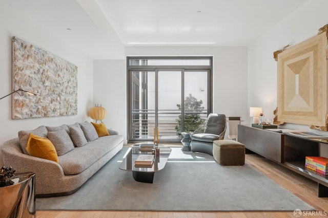 living room featuring wood finished floors