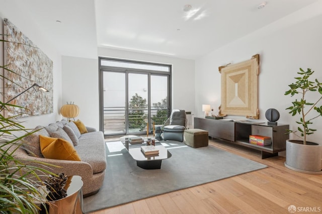 living room featuring wood-type flooring