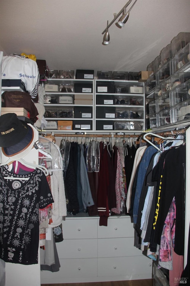 view of walk in closet