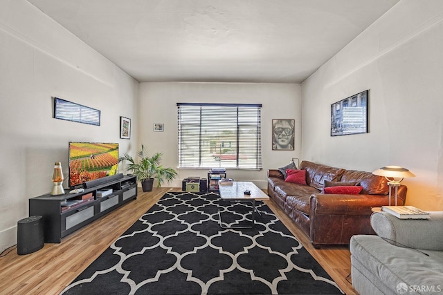 living room with hardwood / wood-style floors