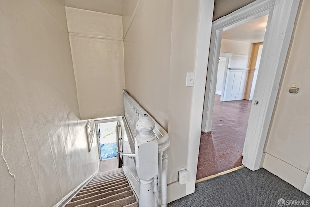 staircase featuring carpet flooring