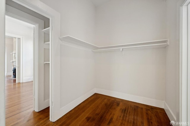 spacious closet with hardwood / wood-style flooring