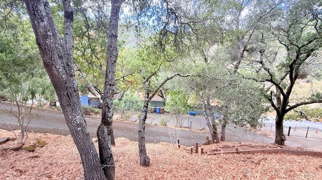 3062 Soda Canyon Rd, Napa, CA 94558 - view of yard
