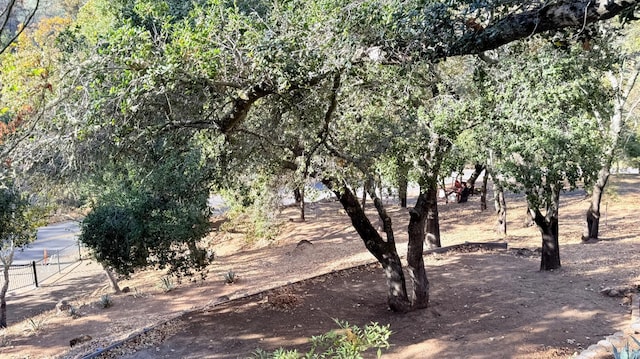3062 Soda Canyon Rd, Napa, CA 94558 - view of undeveloped land