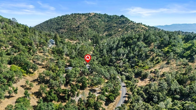 3062 Soda Canyon Rd, Napa, CA 94558 - mountain view featuring a heavily wooded area