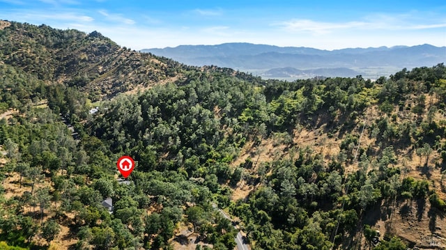 3062 Soda Canyon Rd, Napa, CA 94558 - view of mountain background with a forest