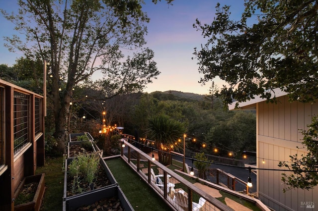 view of yard at dusk