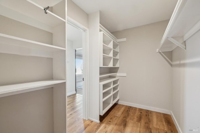 walk in closet with hardwood / wood-style flooring