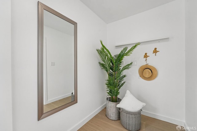 301 Banks St, San Francisco, CA 94110 - photo 25