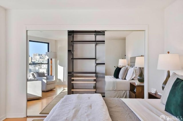 bedroom with a closet and wood-type flooring