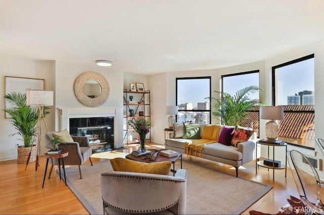 living room featuring a fireplace and light wood-type flooring