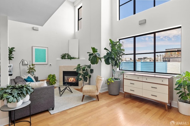 living room featuring a fireplace, a high ceiling, and light wood-type flooring