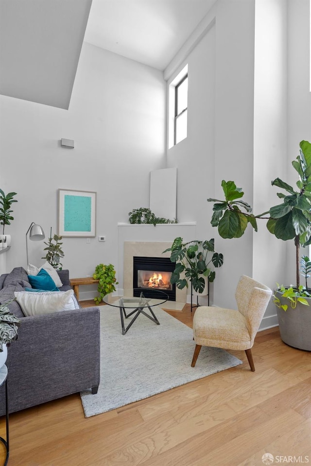 living room featuring wood-type flooring