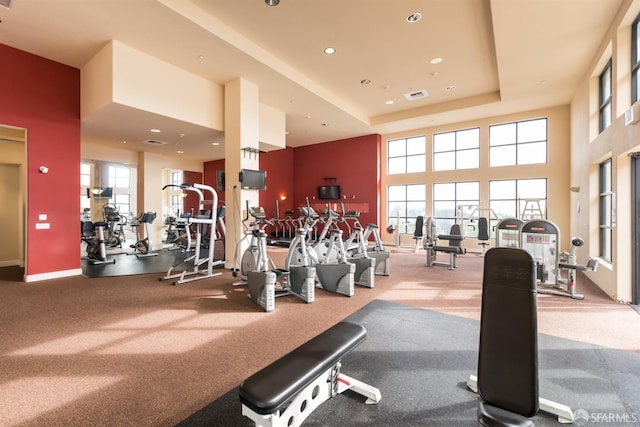 workout area featuring a healthy amount of sunlight, a raised ceiling, and a high ceiling