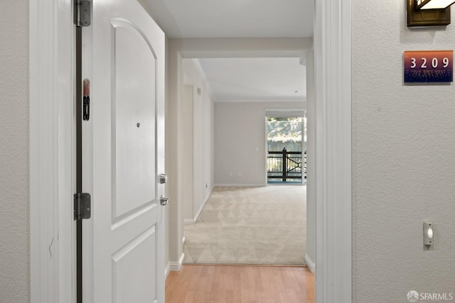 hallway featuring ornamental molding and light hardwood / wood-style flooring