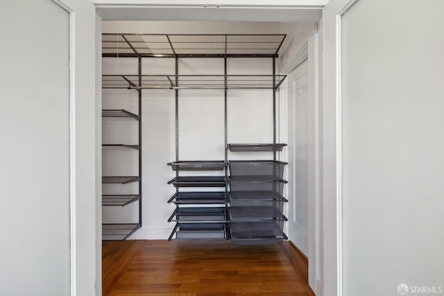 walk in closet featuring dark hardwood / wood-style floors