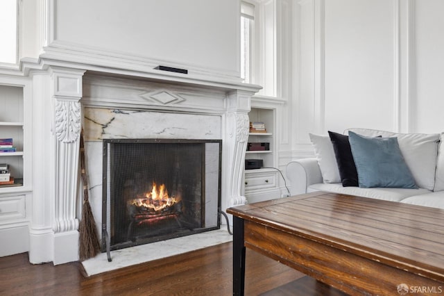 room details featuring hardwood / wood-style flooring and a premium fireplace