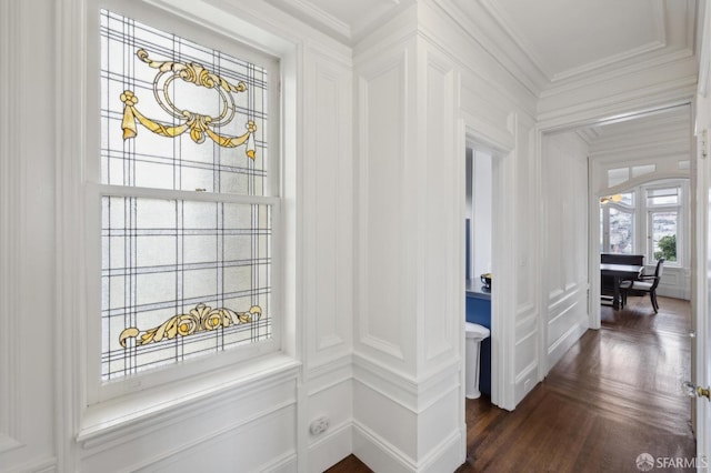 hallway with crown molding and dark hardwood / wood-style flooring