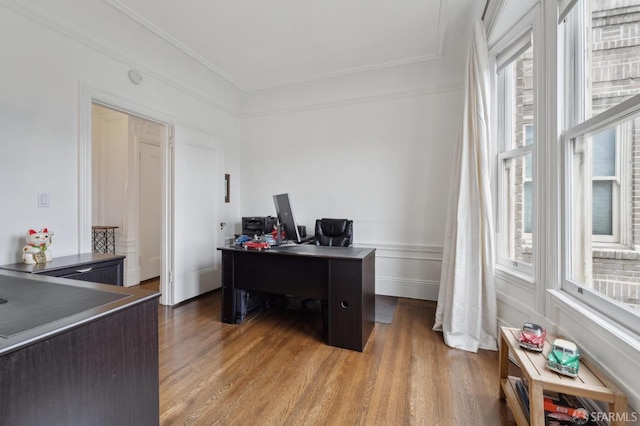 office area with crown molding and wood-type flooring