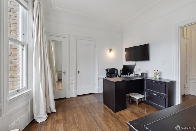 office featuring dark wood-type flooring