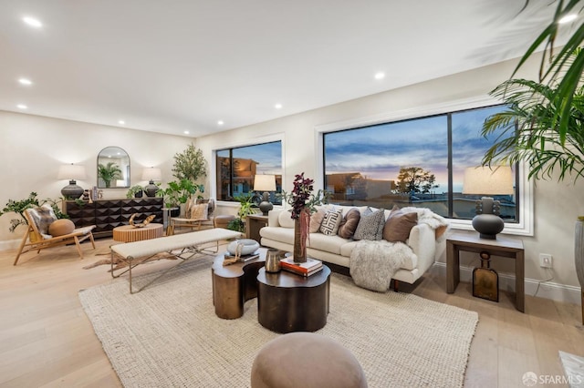 living room featuring light hardwood / wood-style floors