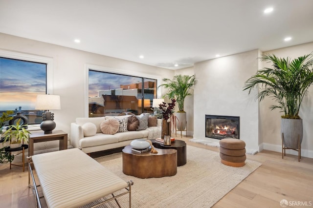 living room with a premium fireplace and light wood-type flooring