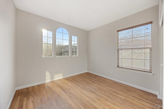 unfurnished room featuring a wealth of natural light and light wood-type flooring