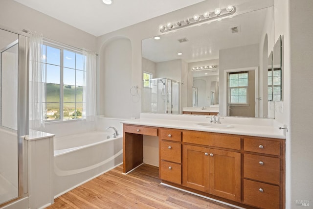 bathroom with vanity, wood-type flooring, and plus walk in shower