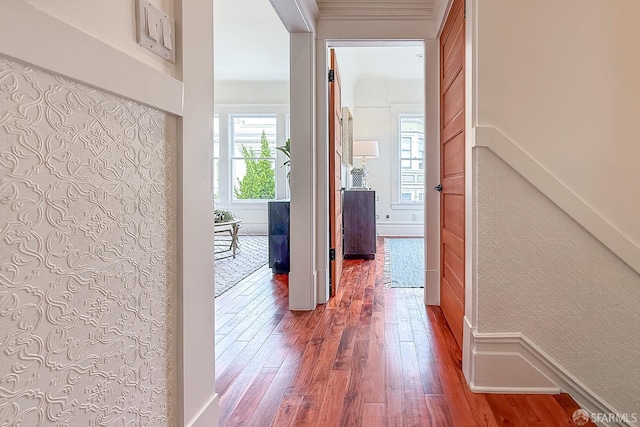 241 Lily St Unit B, San Francisco, CA 94102 - hallway with plenty of natural light and wood-type flooring