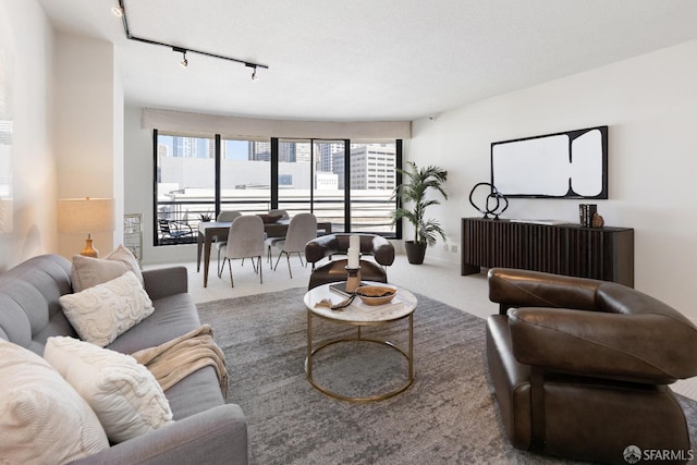 300 3rd St Unit 818, San Francisco, CA 94107 - carpeted living area with rail lighting