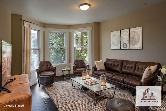 living room with dark hardwood / wood-style floors