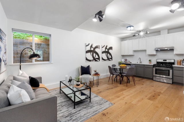 living room with sink and light wood-type flooring