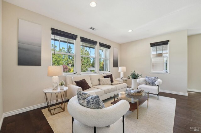 living room featuring hardwood / wood-style floors