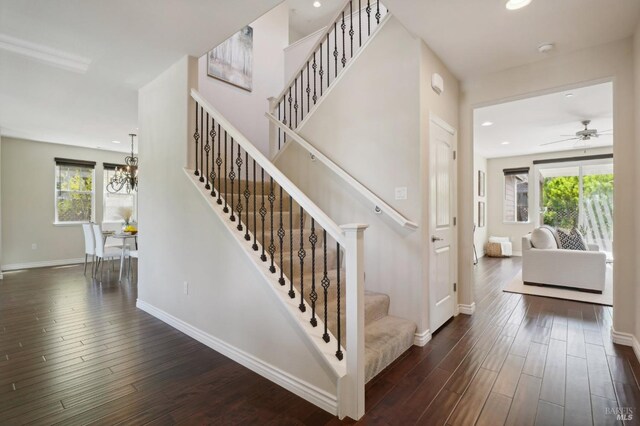 stairway featuring ceiling fan with notable chandelier, plenty of natural light, and wood-type flooring